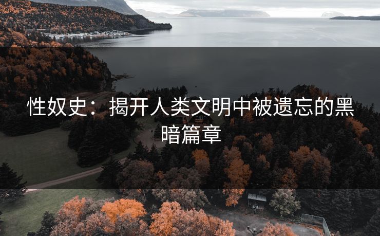 性奴史：揭开人类文明中被遗忘的黑暗篇章