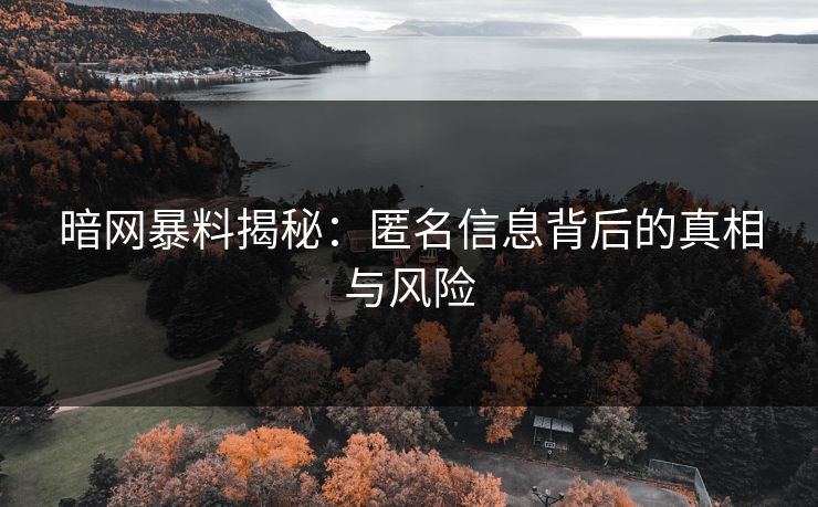 暗网暴料揭秘：匿名信息背后的真相与风险