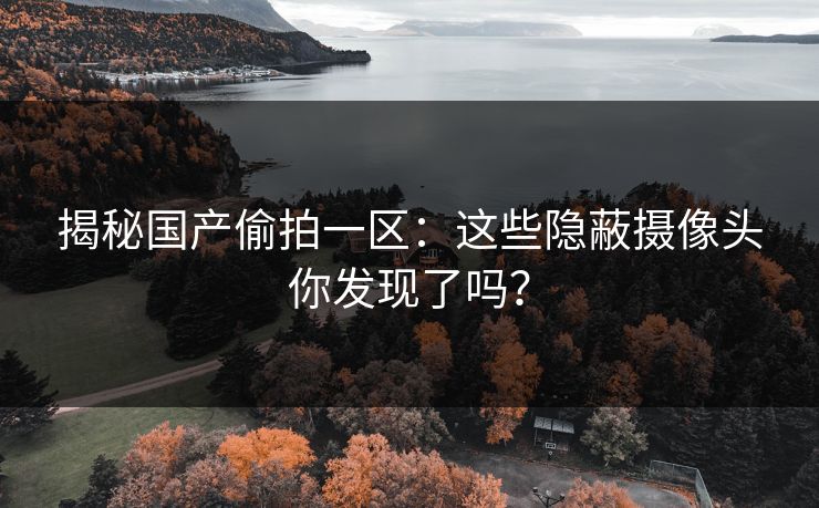 揭秘国产偷拍一区：这些隐蔽摄像头你发现了吗？