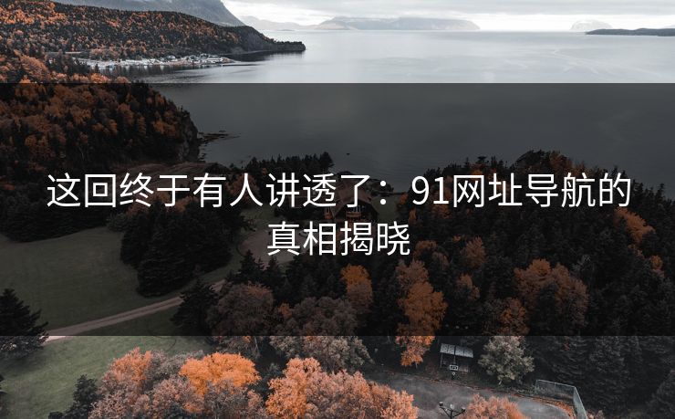 这回终于有人讲透了：91网址导航的真相揭晓